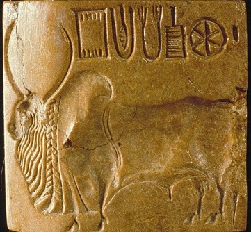 Bull Seal Indus Valley