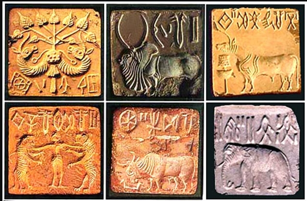 Collection of authentic steatite seals recovered from Mature Harappan phases depicting prominent animal motifs