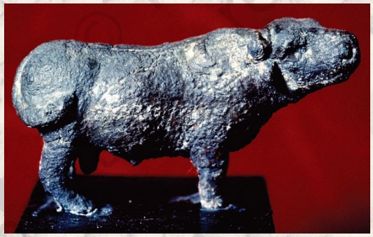 Bronze Bull