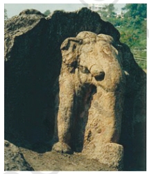 Dhauli Elephanta
