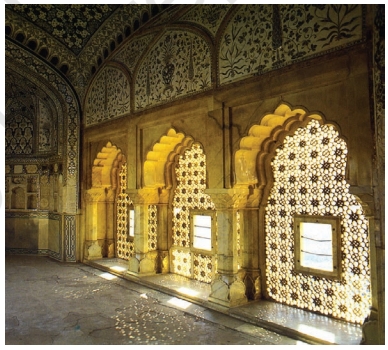 Intricate Jali Work, Amer Fort