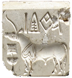 Unicorn Seals Back Faced