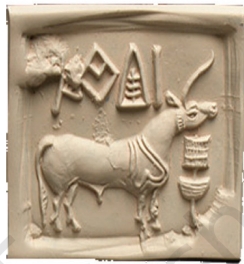 Unicorn Seals Front Faced