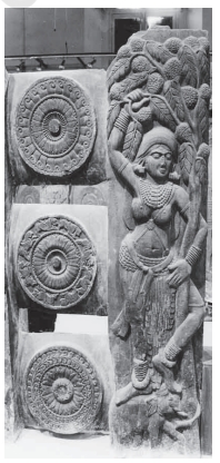 Yakshini of Barhut sculpture showing early Indian relief art