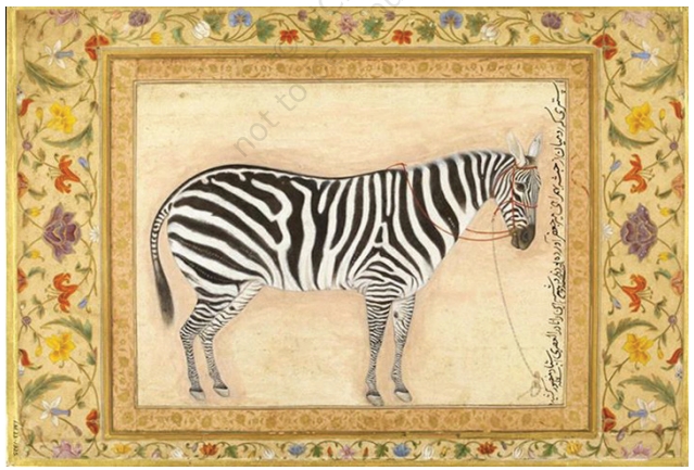 Zebra Painting - Jahangir