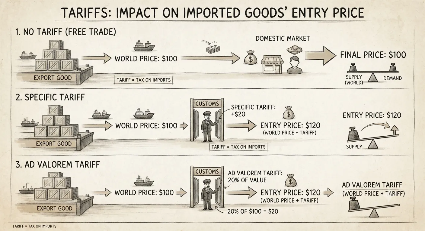 Graphic illustrating how specific and ad valorem tariffs alter market entry prices for imported goods