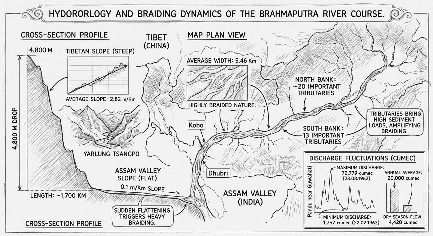 Hydrology of braided dynamics in the Brahmaputra river system