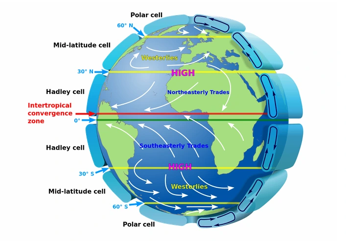 Illustration of Hadley, Ferrel, and Polar atmospheric circulation cells
